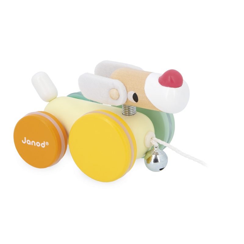 ZIGOLOS - CHIEN A PROMENER