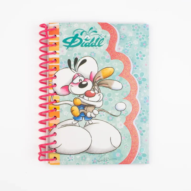 Carnet à forme A6 Diddl